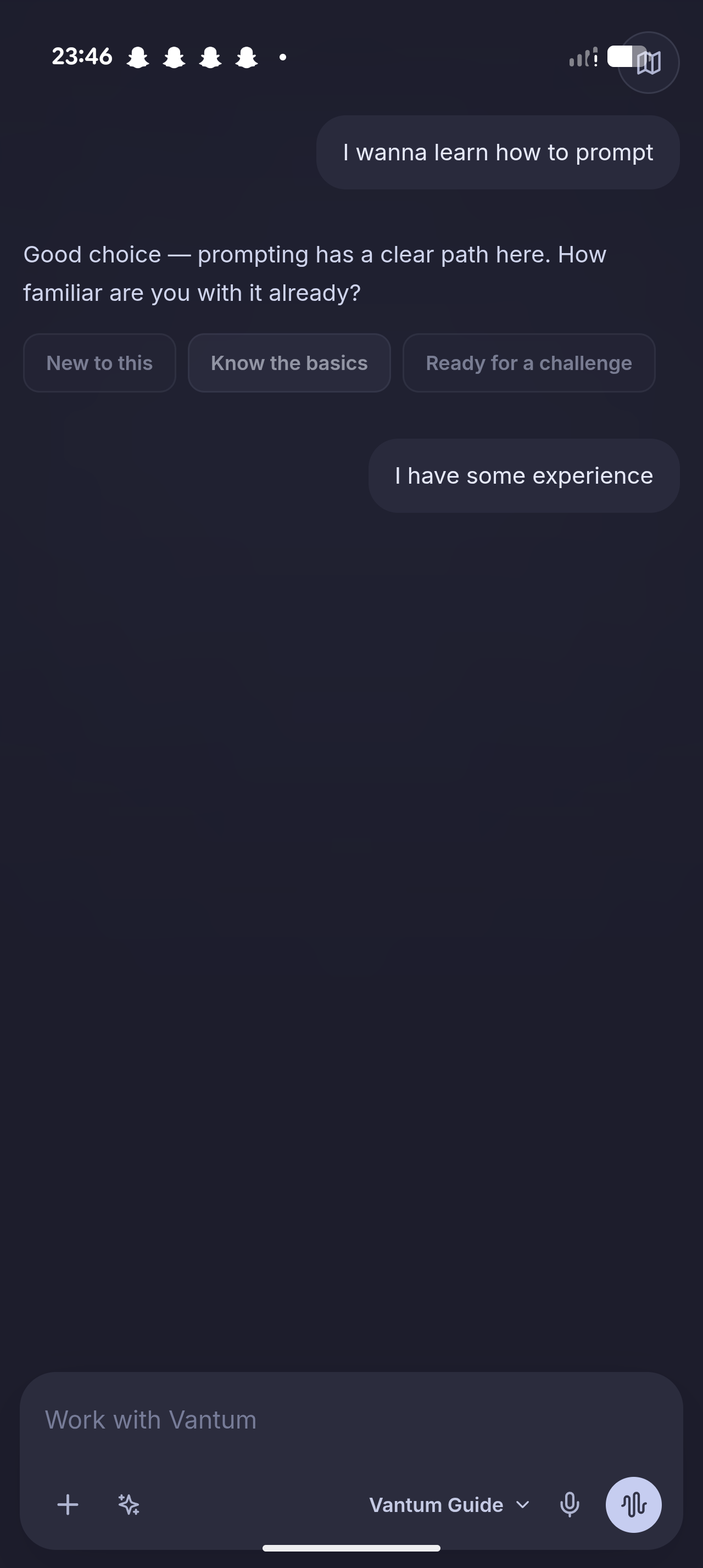 Vantum Guide adapting a prompting lesson to the learner's existing experience