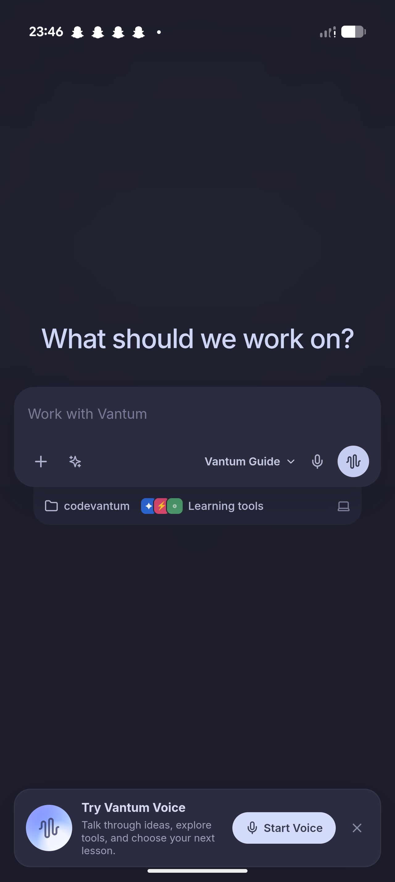 Vantum Guide asking what the learner wants to work on